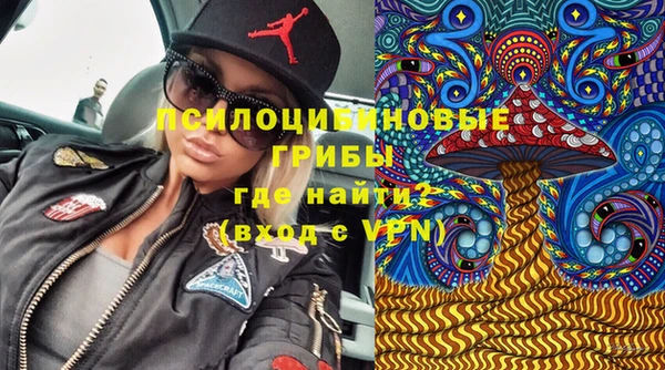 гидра Осинники