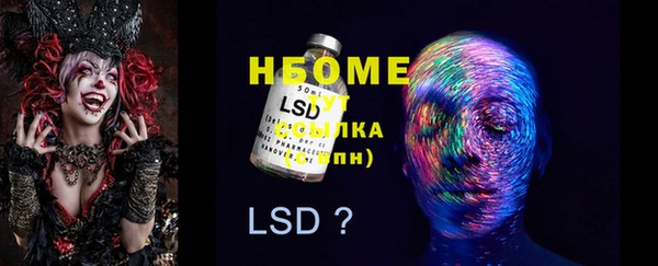 гидра Осинники