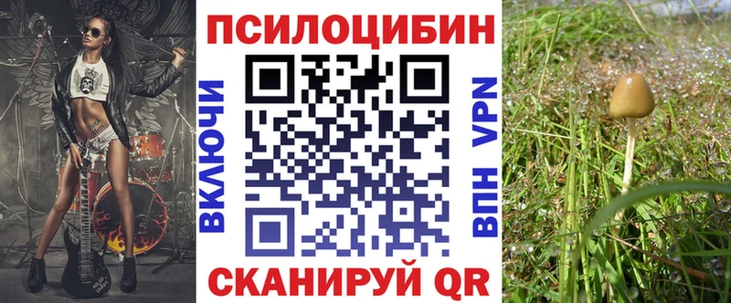 где найти наркотики  мега сайт  площадка какой сайт  Княгинино  Псилоцибиновые грибы Magic Shrooms 