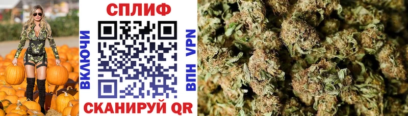 блэк спрут маркетплейс  Княгинино  Канабис Bruce Banner  магазин  наркотиков 